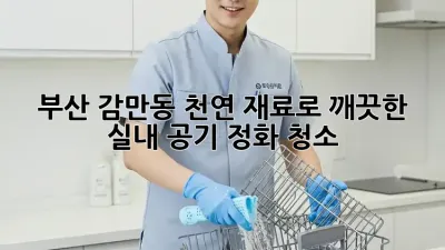 부산 감만동 천연 재료로 깨끗한 실내 공기 정화 청소